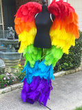 Couture Wings Rainbow Baby ~ Rental