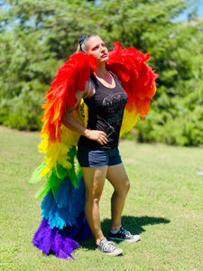 Couture Wings Rainbow Baby ~ Rental